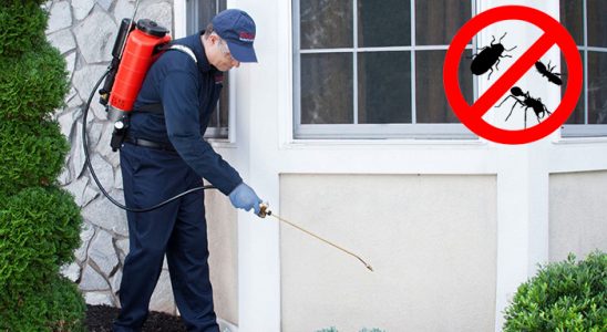 Urla Hamam Böceği İlaçlama böcek ilaçlama ve haşere kontrolü — ilaclama-tr.com